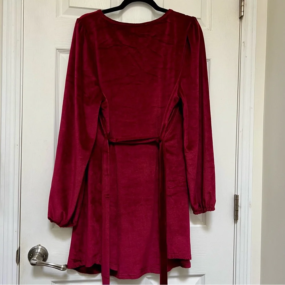 Red Velvet Jewel Toned Dress 🎀 - Picture 3 of 10
